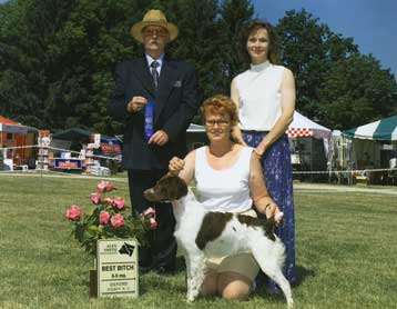 Bridget will have some beautiful Brittany Spaniels this year.